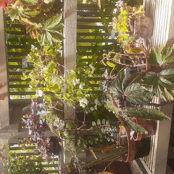 FASHION TO NATURE pause break Enjoy - Picture 5 of 6